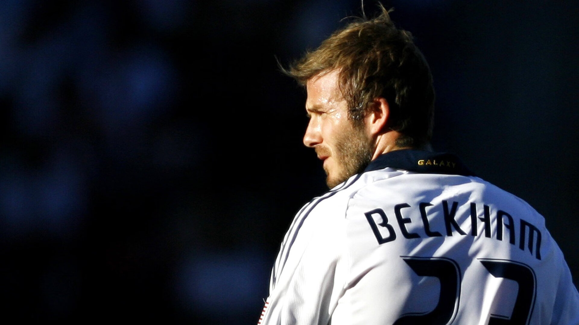 体育赛事市场分析